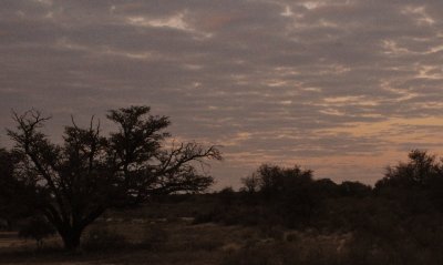 kgalagadi-007