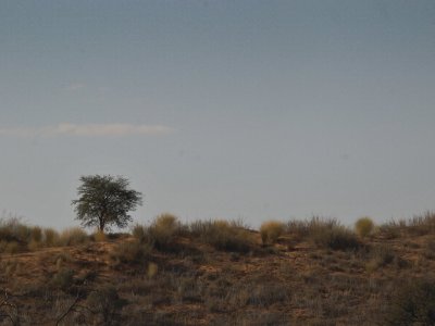 kgalagadi-010
