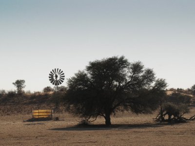 kgalagadi-013