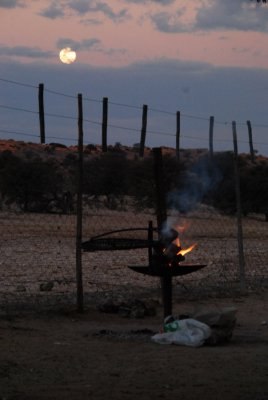 kgalagadi-018