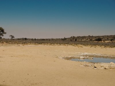 kgalagadi-021