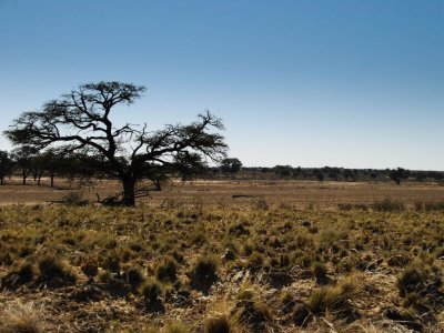 kgalagadi-022