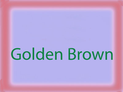 June 8 golden brown