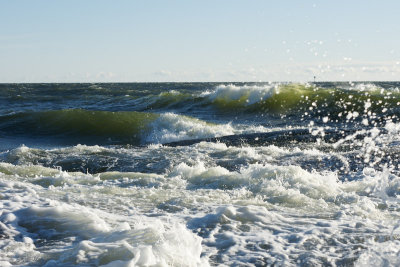 DSC03096_small.jpg