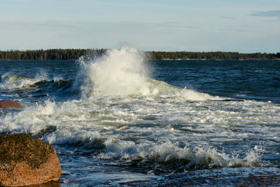 DSC03167_small.jpg