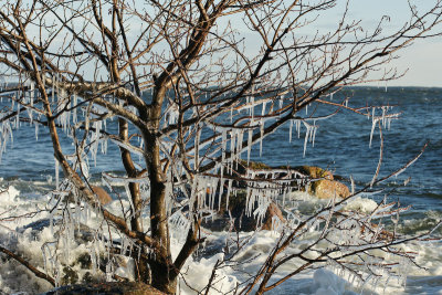 DSC03210_small.jpg
