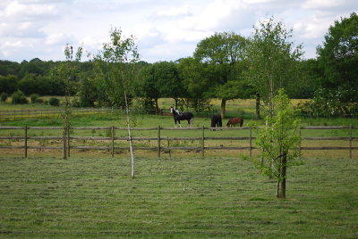 DSC_0093.JPG
