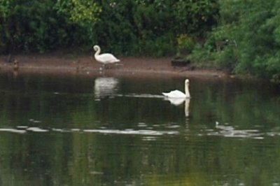 DSC_0395_567.JPG