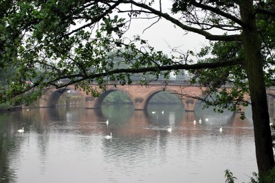 DSC_0398_570.JPG