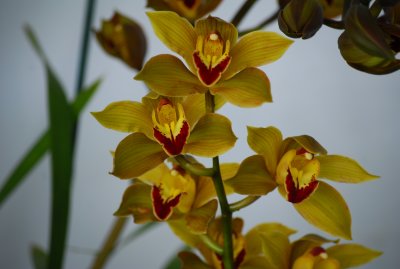 DSC_0067.JPG