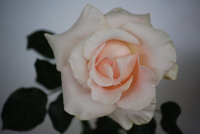 DSC_0074.JPG