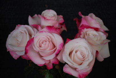 DSC_0077.JPG