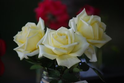 DSC_0079.JPG