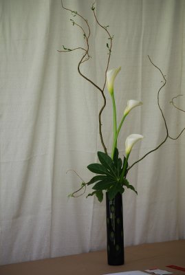 DSC_0090.JPG