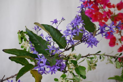 DSC_0109.JPG