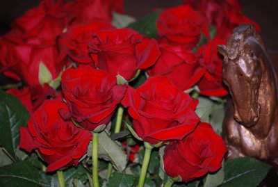 DSC_0638.JPG