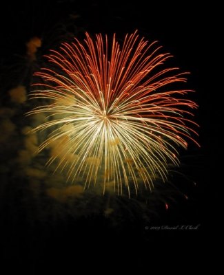 Fireworks - Michigan 2009