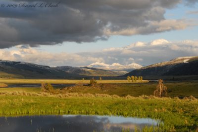 Yellowstone