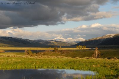 Yellowstone National Park