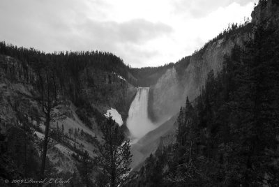 Grand Canyon of Yellowstone