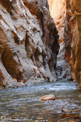 Zion National Park