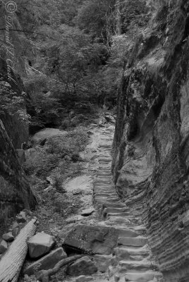 Zion National Park