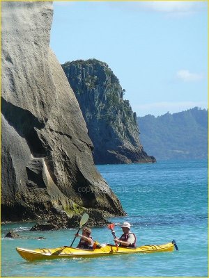 new zealand - coromandel