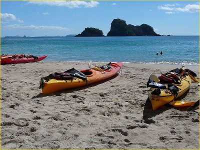 new zealand - coromandel