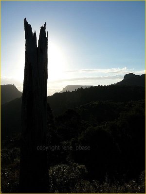 new zealand - pinnacles