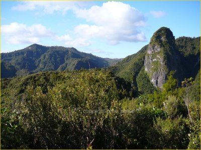 new zealand - pinnacles