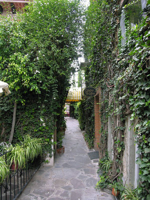 Walkway at Hotel Villa Jacaranda
