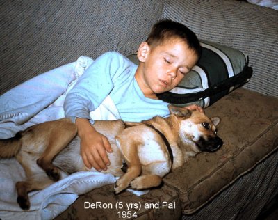 DeRon and Pal.  1954