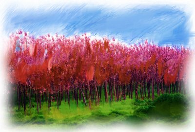 030try_Painting1.jpg