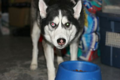 IMG_1764.jpg