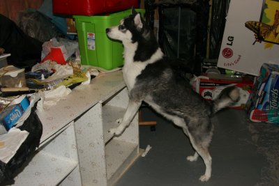 IMG_1780.jpg