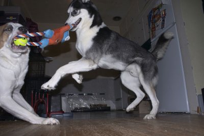 CRW_5836.jpg