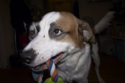 CRW_5845.jpg