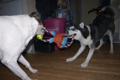 CRW_5846.jpg