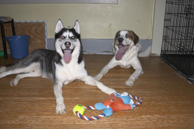 CRW_5859.jpg