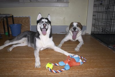 CRW_5861.jpg