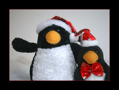 Penguin buddies