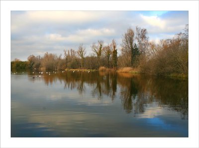 Milton Country Park, 26th December 2008