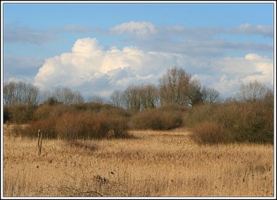 Fowlmere March 2008
