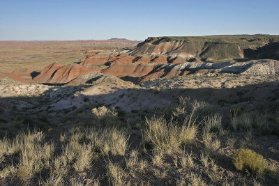 Petrified Forest National Park