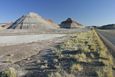 Petrified Forest National Park