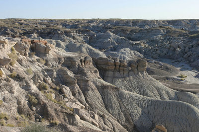 Petrified Forest National Park