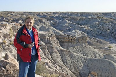 Petrified Forest National Park