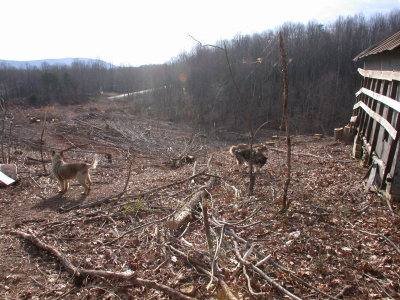 Sout East View