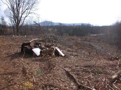 Trash Pile