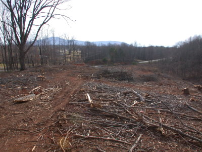 Sout East View